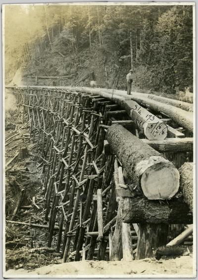 1918 black and white photo of timber bridge construction on cliffside